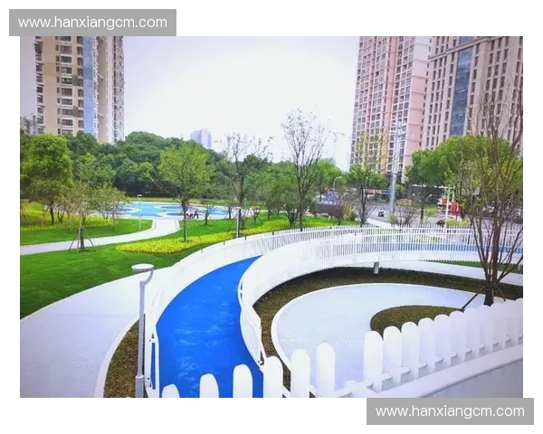 围绕多功能运动区打造活力社区融合健身休闲文化交流新空间发展愿景